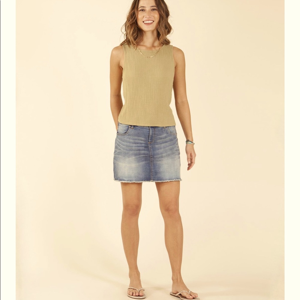 Carve Designs denim skirt